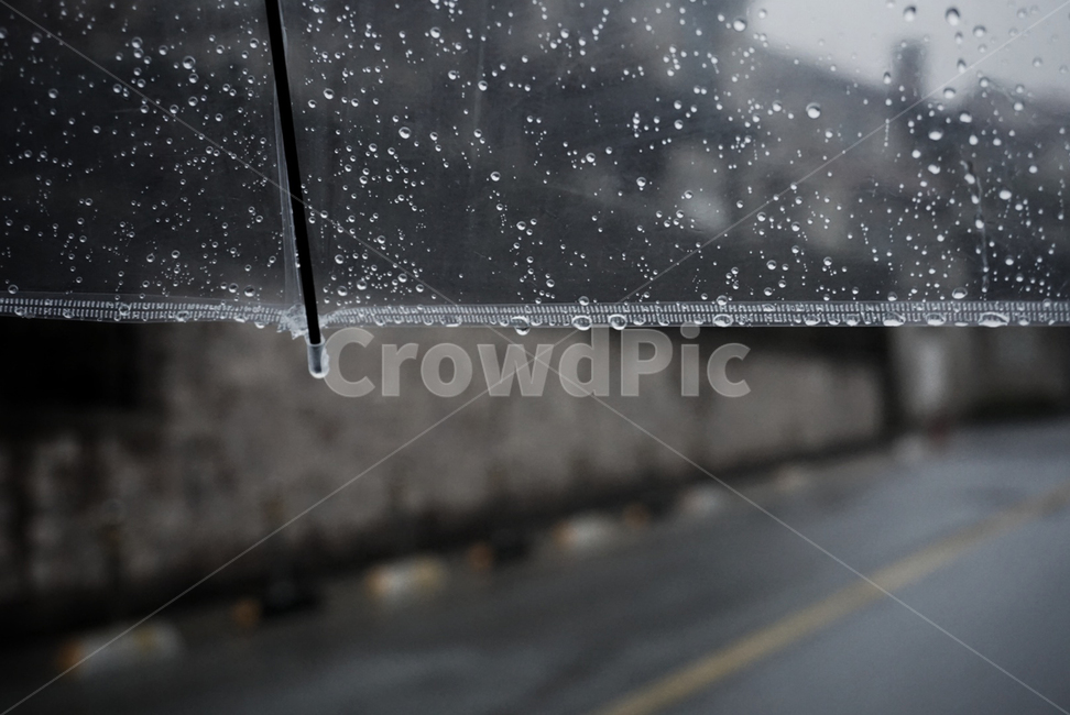 비,우산,봄비,촉촉함,물방울,쓸쓸,비,비오는날,rain,rainy