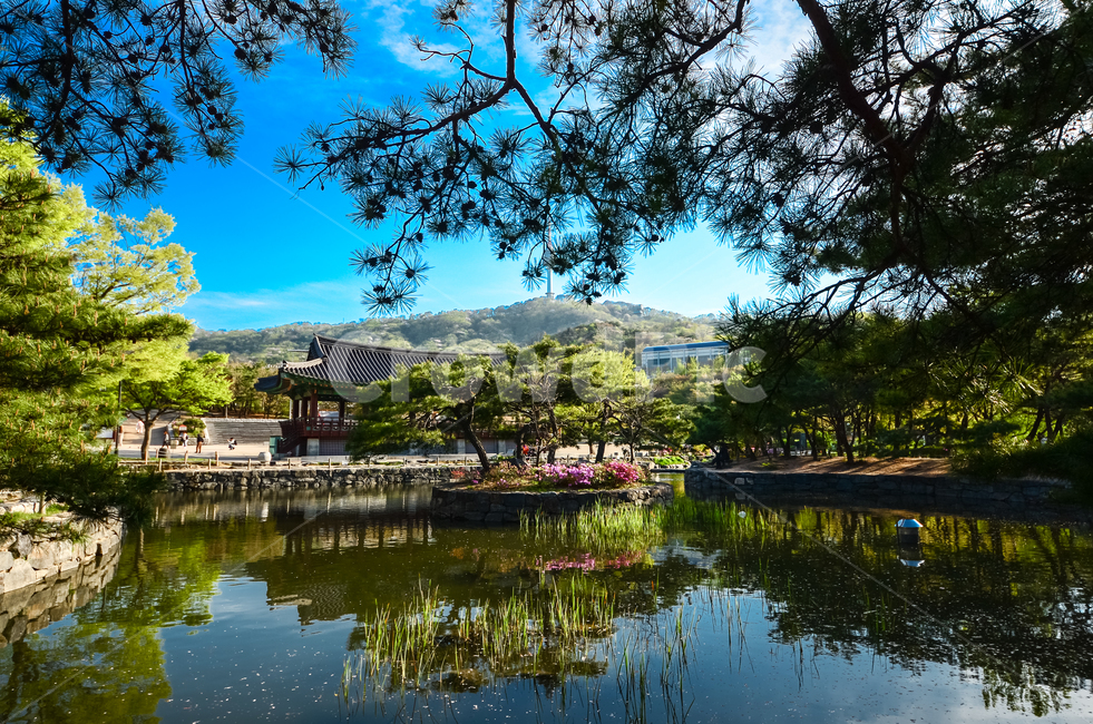 water,물,outdoors,옥외,nature,자연,한옥,파란하늘,나무,반영,충무로,마을,전경,풍경,자연,풍경,nature,landscape