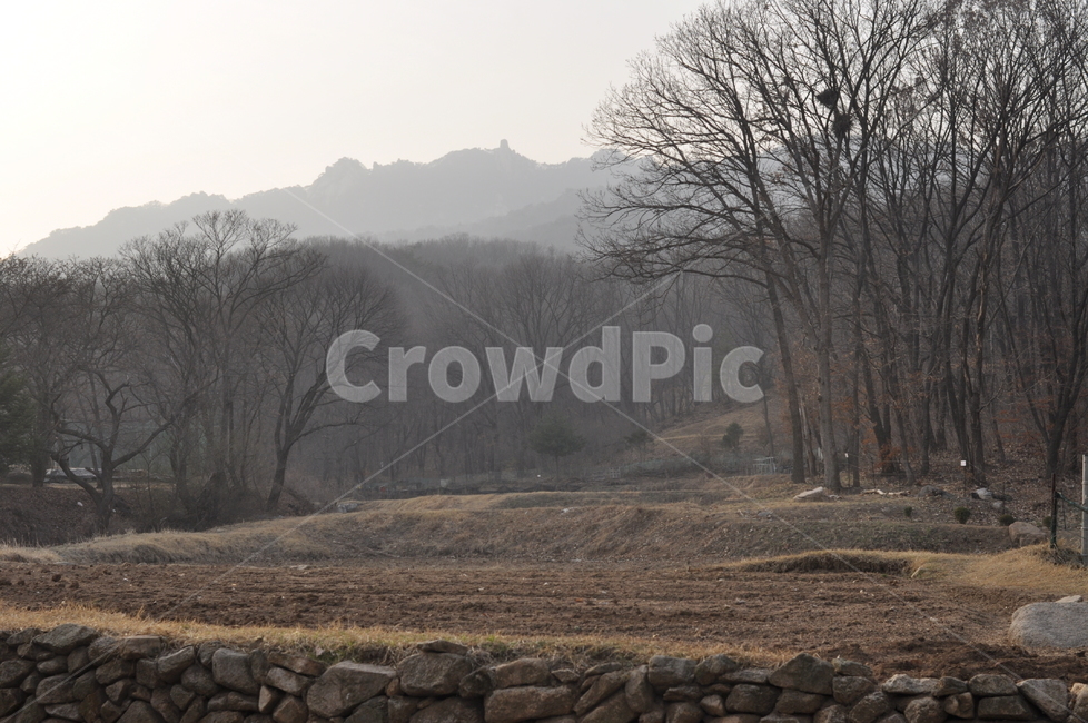 겨울,풍경,나무,자연,겨울풍경,자연,풍경,nature,landscape,weather,날씨