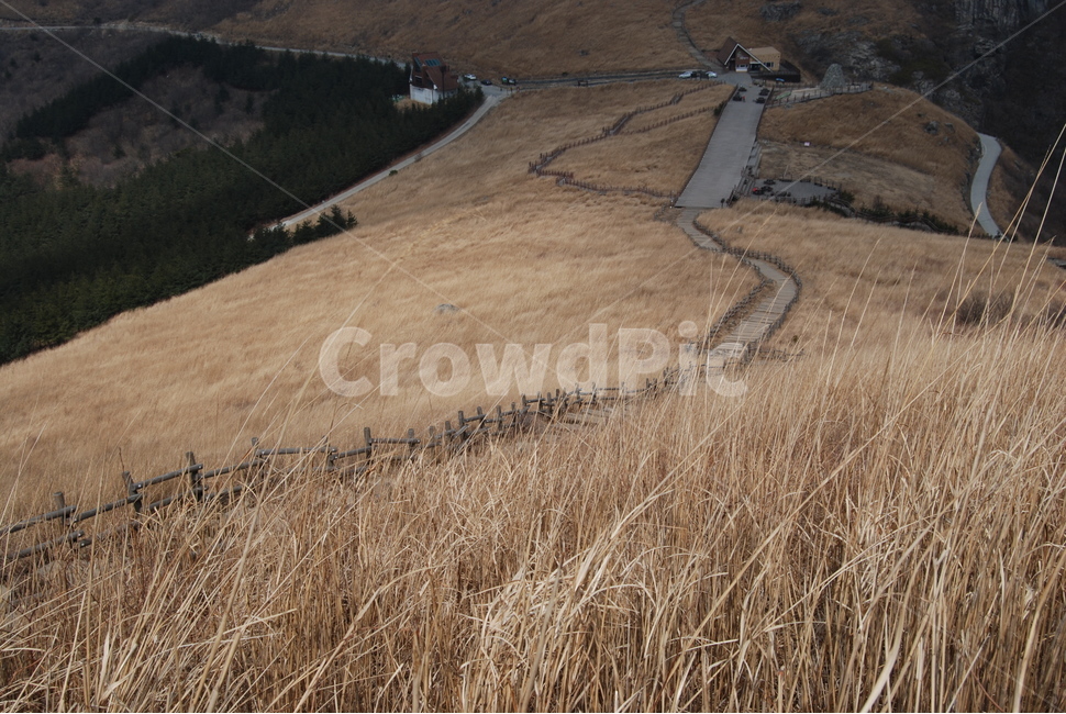 등산로,hikingtrail,autumn,가을,산,자연,풍경,nature,landscape,한국자연풍경,한국자연경관,korea nature landscape