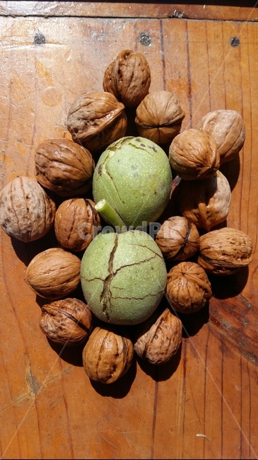 호두,견과류,마루,가을,갈색,Nature,walnut,Brown,floor,Nuts