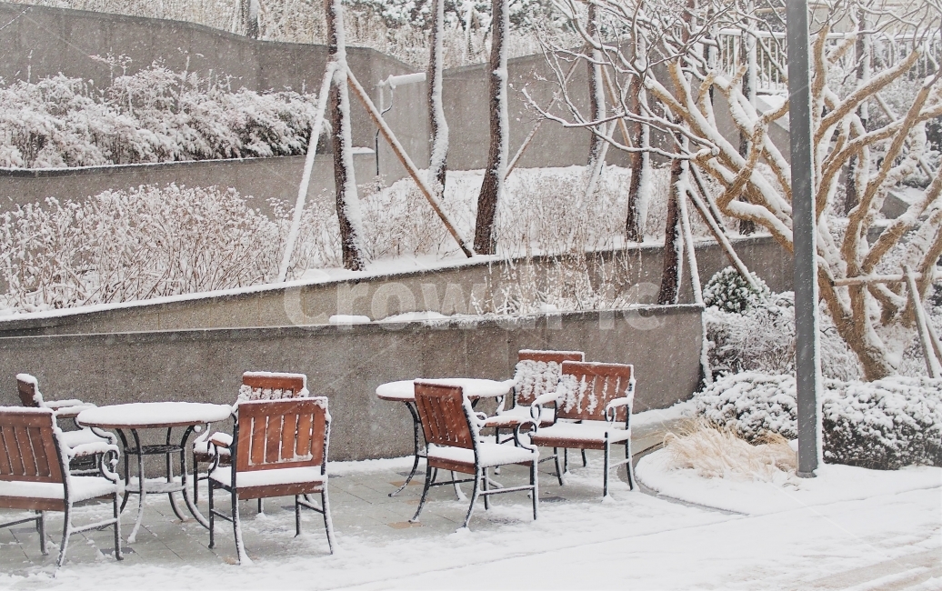 겨울,눈,공원,정원,휴식,산책,의자,벤치,white,winter,snow,풍경,겨울,계절,winter,season