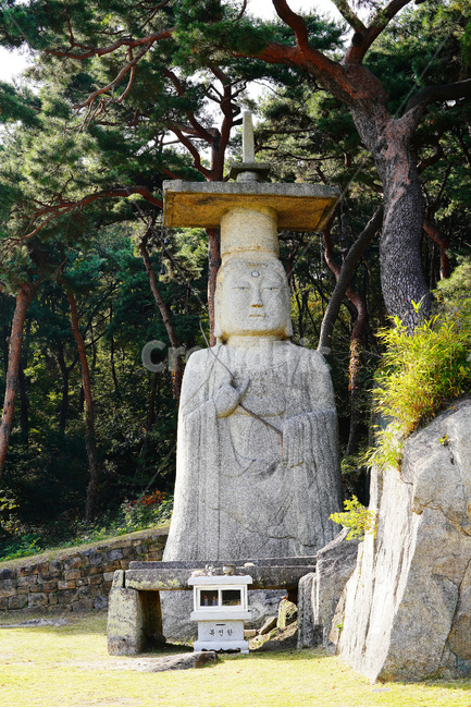 미륵불상,사찰,불교,대조사,부여