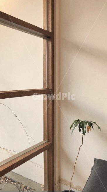 감성,카페,그림자,창문,가을,분위기,햇살,조명,구도,인테리어,실내디자인,interior design