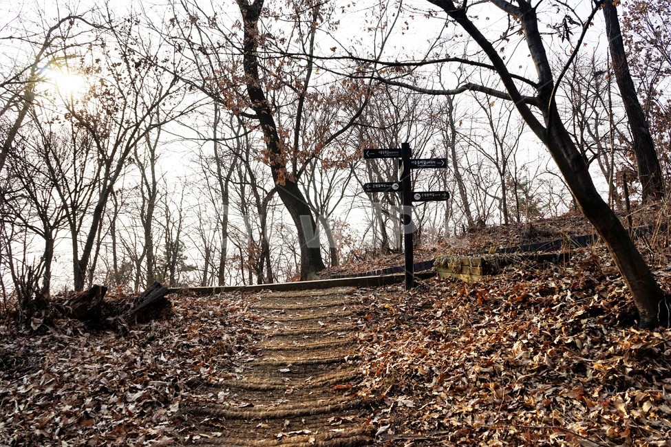 겨울,산,길,나무,숲,자연,작은길,숲길,산책길,낙옆,겨울산,trail,forest,자연,풍경,nature,landscape,ground,바닥,gravel,자갈,road,도로,dirt road,흙길