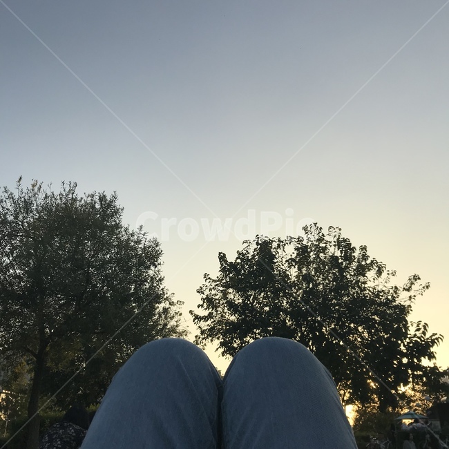 노을,나무,다리,무릎,하늘