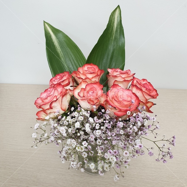 꽃,장미,생화,flower,rpwe,분홍꽃,분홍장미