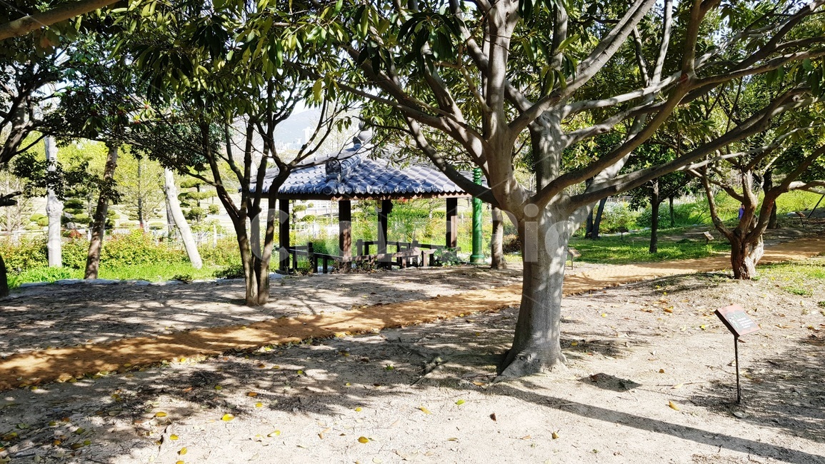 정원,가든,원예,공원,봄나무,그늘,식물,자연,plants,nature,나무,trees,wood