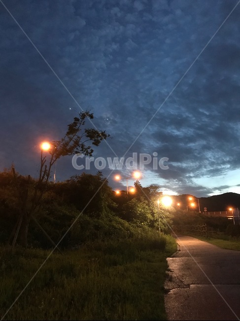 공원,산책,야경,가로등,구름,감성,산책길,잔디,나무,야경,밤,풍경,nightscape,night,landscape,light,빛,flare,플레어