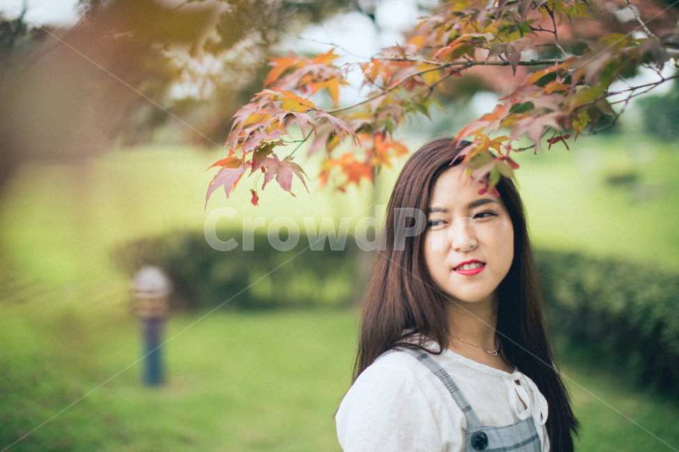 leaf,잎,plant,식물,tree,나무,human,인간,person,사람,단풍,maple,여자,wonman,가을,계절,fall,autumn,season,사람,인물,인간,human,person,여성,여자,woman,female,lady
