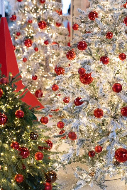 크리스마스,크리스마스장식,빨간색,흰색,초록색,장식,트리,메리크리스마스,성탄절,merry christmas