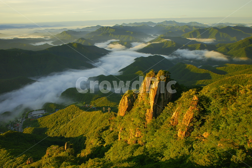 대둔산,운해,신록,구름,안개,소나무,완주군,자연,풍경,nature,landscape,한국자연풍경,한국자연경관,korea nature landscape,outdoors,옥외,mountain,산,scenery,경치