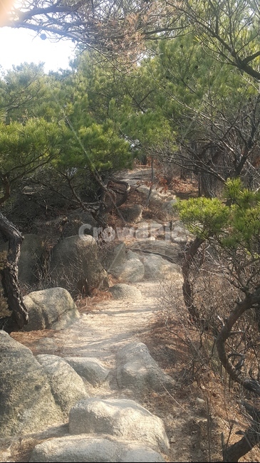 산,등산,산풍경,관악산,경치,자연,풍경,nature,landscape,ground,바닥