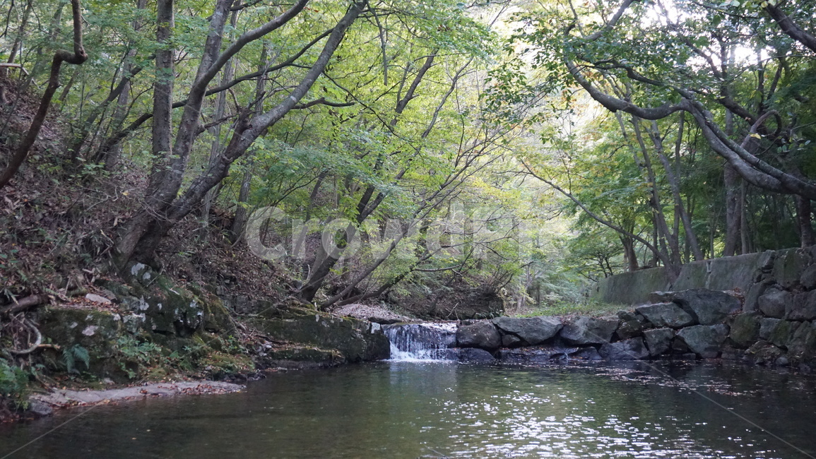 가을,강천사,전북,풍경,계곡,자연,풍경,nature,landscape,water,물,outdoors,옥외,stream,흐름,creek,작은 만