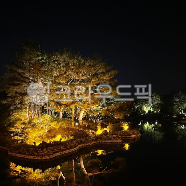 야경,나무,경주,안압지,동궁과월지