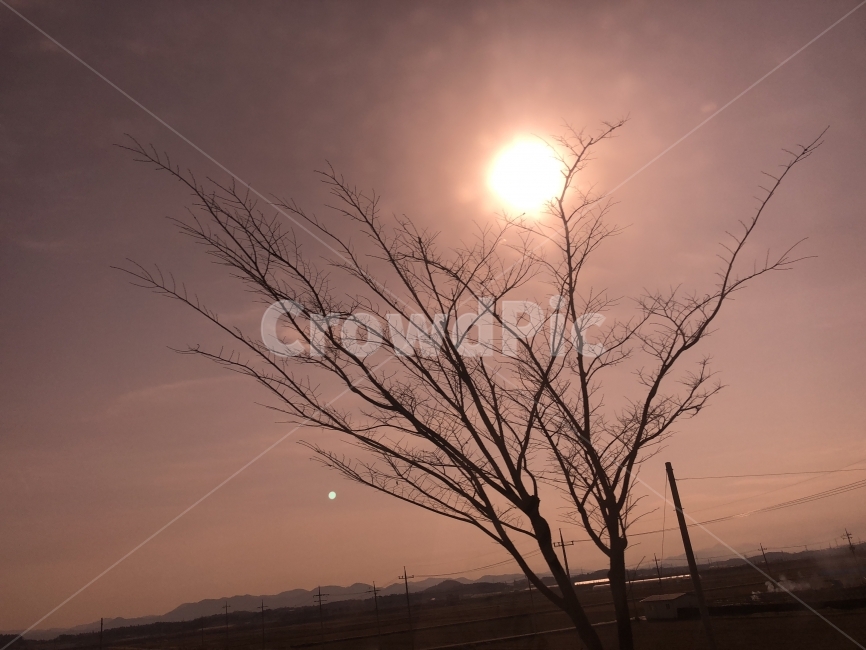 해,해질녘,나무,하늘,배경화면,바탕화면,논,자연,Sun,Tree,Cloud,Sunset,Background,자연,풍경,nature,landscape,시골,마을,country,rural,town,식물,plants,나무,trees,wood,outdoors,옥외,sunlight,햇빛,sky,dusk,황혼,red sky,붉은 하늘,dawn,새벽,sunset,일몰