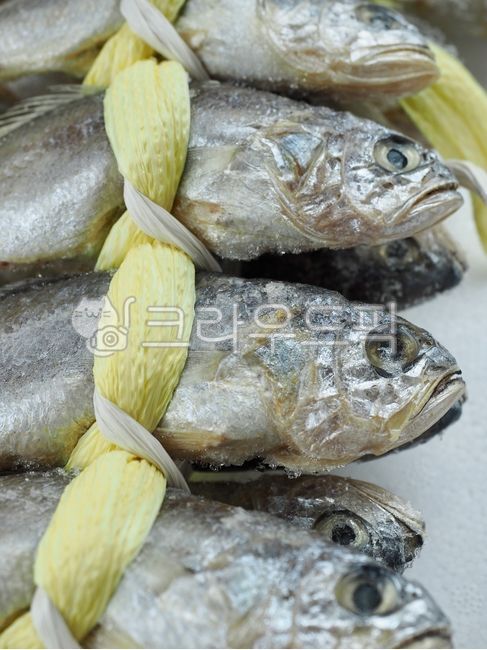 굴비,생선,조기,요리재료,물고기,단백질,음식,해산물,반건조식품,cooking,fish,food,foodingredients,seafood