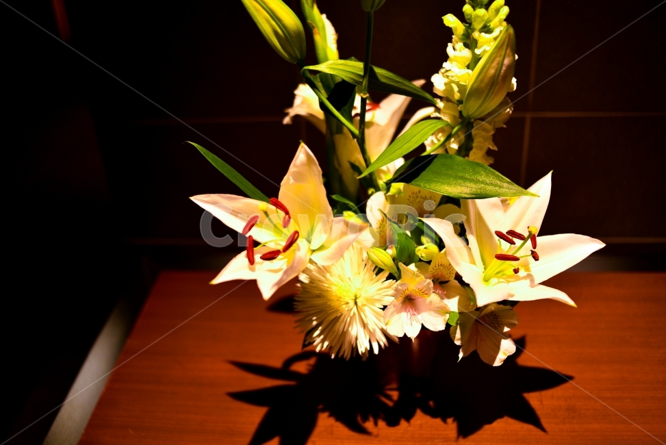 조화,꽃,백합,식물,자연,흰꽃,꽃,flower,실내용화초,화분,화초,house plant,인테리어,실내디자인,interior design