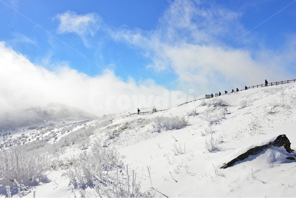 무주,덕유산,덕유산설경,운해,겨울,상고대,계절,향적봉,중봉,nature,자연,outdoors,옥외,snow,눈,ice,빙,slope,경사,mountain,산,mountainrange,산맥,겨울,계절,winter,season,자연,풍경,nature,landscape