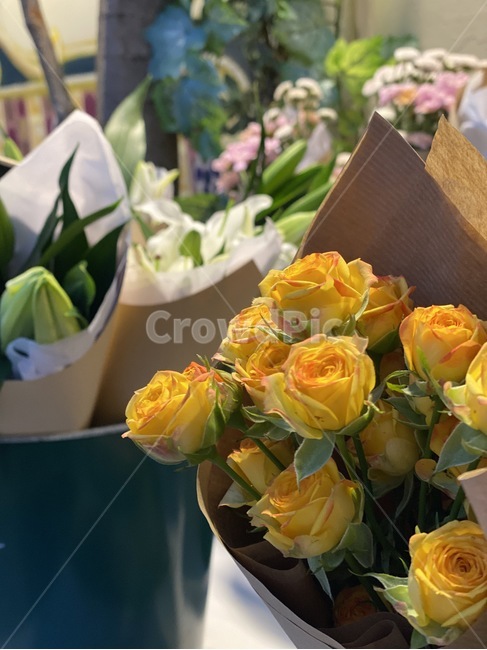 자연,부케,꽃다발,예쁜,감성,아름다운,풀,plant,식물,flowerarrangement,꽃꽂이,flowerbouquet,꽃부케,flower,꽃,꽃집