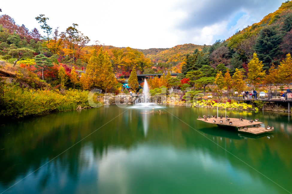 호수,가을,단풍,나무,화담숲,가을,계절,fall,autumn,season,자연,풍경,nature,landscape,water,물,outdoors,옥외