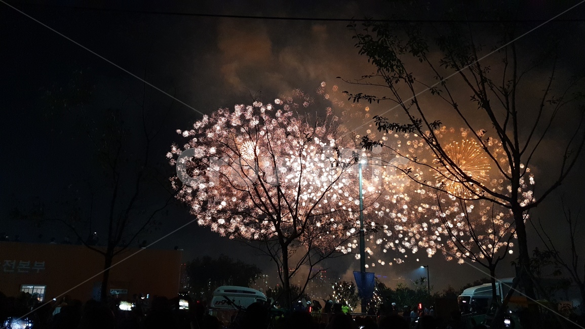 여의도,축제,불꽃,옥외,나무,자연,nature,outdoors,night,fireworks,flare,light,빛,플레어,축제,행사,festival,carnival,event