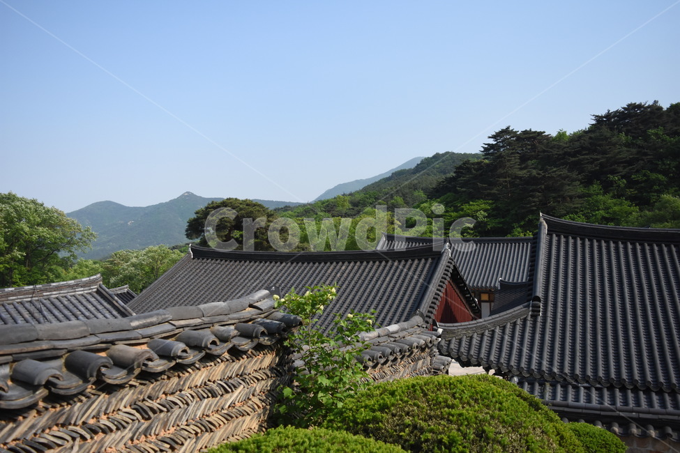 울산,여행,전통,숲,나무,한국전통,한국문화,korean traditional,korean culture,건축물,건물외관,exterior,building,structure,architecture,construction