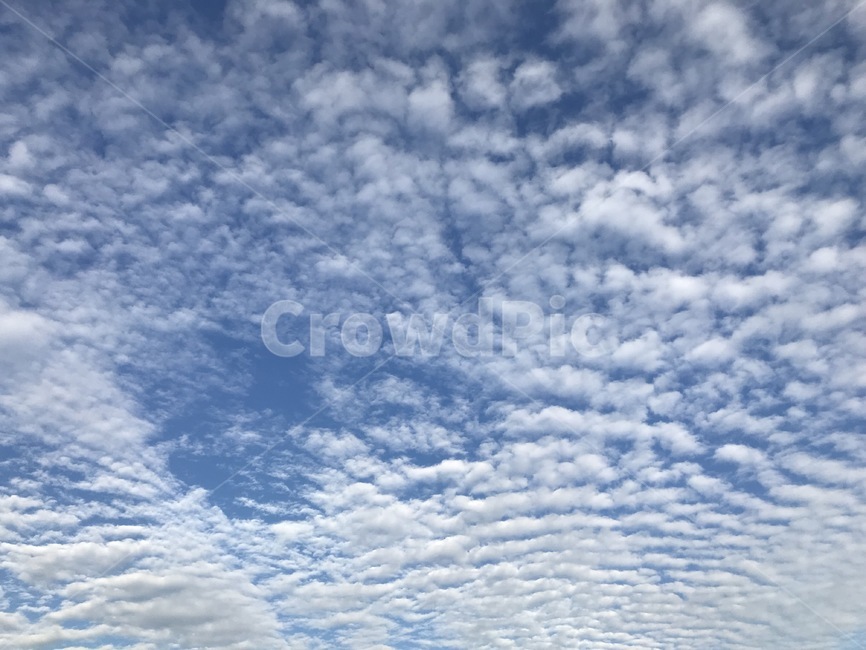 구름,하늘,sky,cloud,푸른하늘