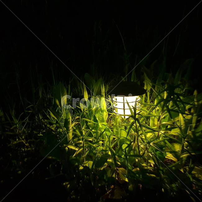 밤,전등,밤빛,불빛,어둠,램프,조명,태양광,초록,풀,light