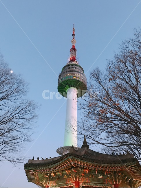 서울,남산타워,서울타워,초저녁,야경,예쁜,웅장한,풍경,야경,밤,풍경,nightscape,night,landscape,랜드마크,landmark,tourist attraction,한국랜드마크,한국관광지,한국명소,korea landmark,korea tourist attraction,architecture,건축물,building,건물,tower,탑