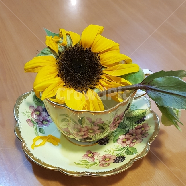 해바라기,sunflower,찻잔,teacup,flower,yellow,indigreen,blak,노랑,인디녹색,꽃찻잔,luxurious,고급스러운