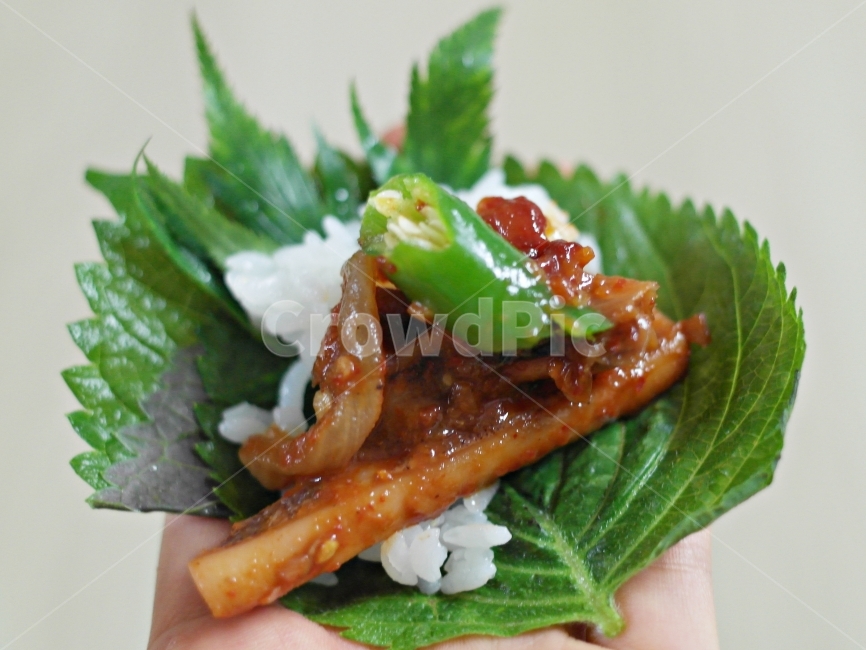 오징어쌈,오징어볶음,깻잎,깻잎쌈,한끼식사,식사,밥,집밥,음식,식재료,요리,food,cook,meal,dishes,food reserves,한식,한국음식,한국요리,korean food,korean dishes,korean meal,korean cook