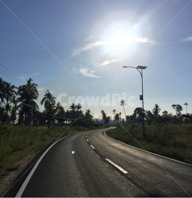 도로,맑은하늘,햇빛,야자수,휴식,자연,풍경,nature,landscape,road,freeway,고속 도로,highway,고속도로,asphalt,아스팔트