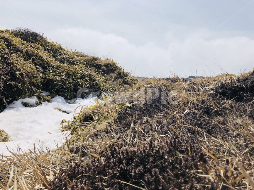 자연,나무,바위,감성,이국적,풀,숲,산,자연,풍경,nature,landscape,outdoors,옥외