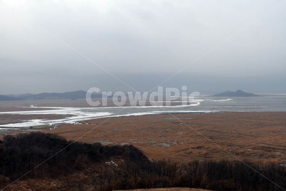갈대,갈대밭,우음도,겨울갈대,길,풍경,강아지풀,바다,겨울바다,겨울,계절,winter,season,자연,풍경,nature,landscape,한국자연풍경,한국자연경관,korea nature landscape,outdoors,옥외