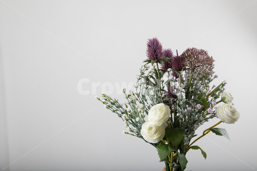 흰색,자연,녹색,장식,봄,식물,잎,디자인,꽃다발,결혼,계절,여름,야생화,줄기,신선하다,아름답다,향기,꽃,안개꽃,만개,나뭇잎,생명,부케,고백,사랑,선물,프로포즈,bouquetflowerbouquetlove,marriage,seasonal,summer,wildflower,stem,fresh,fragrance,petal,bloom,leaf,flower,life,bouquet,꽃,flower