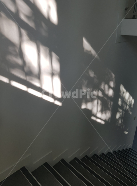창문,계단,빛,그림자,감성,차분한,분위기,아른거리다,calm,sunlight,shadow,sensitivity,stairs,silhouette,glimmer,waver,window,mood