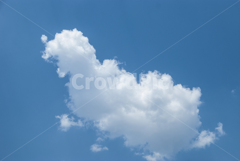공룡,구름,tyrannosaurus,구름모양,cloudy
