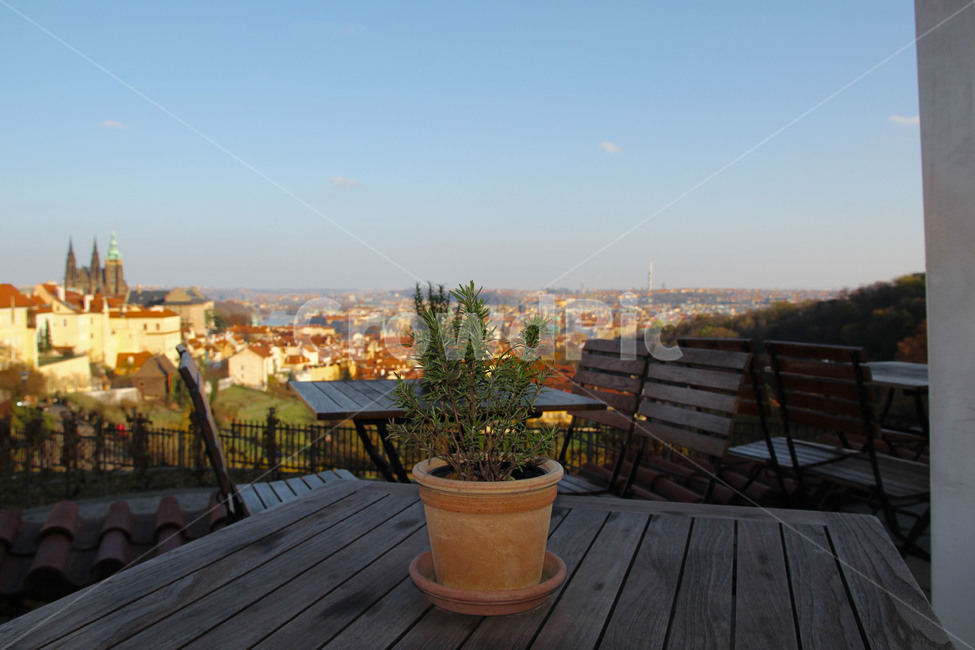 체코,프라하,유럽,프라하성,동유럽,나무,cityscape,여행,화분,prague,praha,관광지,유럽관광지,유명관광지,감성,감성사진,감성적인,세계,주택,집,oversea,world,체스키,체스키크로믈로프,landmark,유럽여행,동유럽여행,여행지,관광,지붕,올드타운,중세,아름다운,동화마을,동화,붉은,주황색,구시가지,붉은지붕,여행사진,도시풍경,city,landscape,해외,외국,foreign,색깔,색상,색채,색감,color,sense,colorsensitivity,feelingofcoloroutdoors,옥외,경치,nature,자연,roofscenery,도시,풍경,city,landscape,해외,외국,세계,foreign,oversea,world,세계도시풍경,해외도시풍경,외국도시풍경,world cityscape