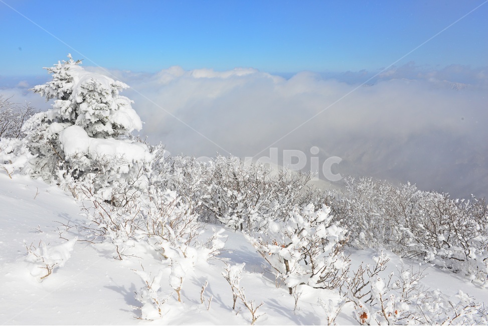 무주,덕유산,덕유산설경,운해,겨울,상고대,계절,향적봉,중봉,nature,자연,outdoors,옥외,snow,눈,ice,빙,slope,경사,mountain,산,mountainrange,산맥,겨울,계절,winter,season,자연,풍경,nature,landscape