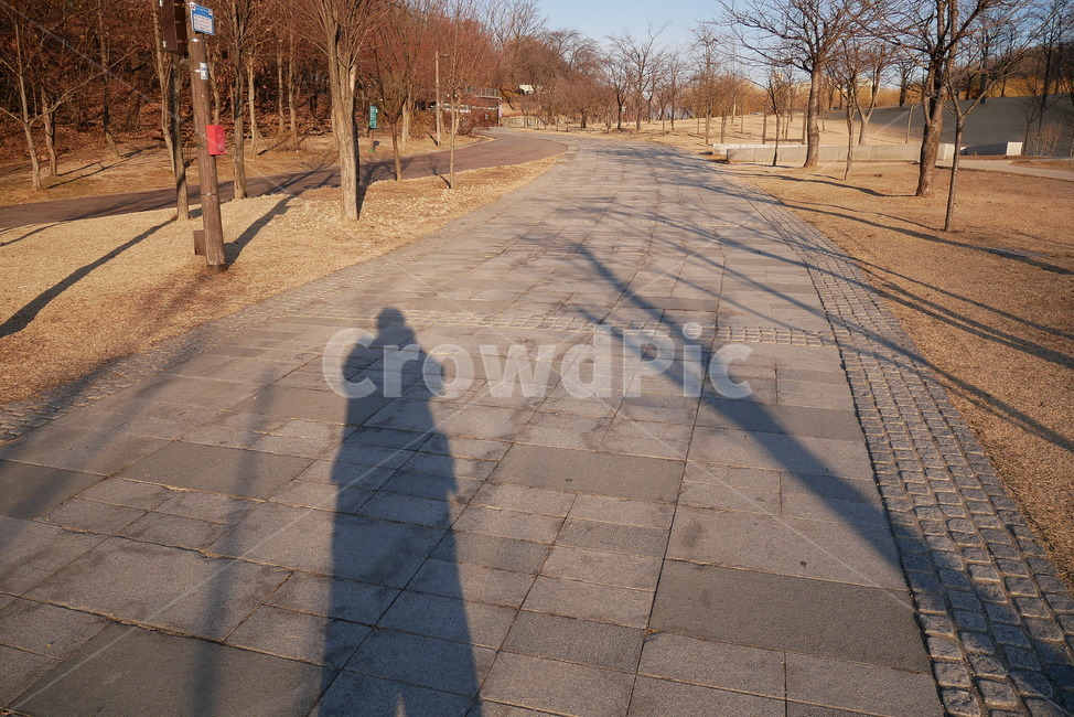 아침,풍경,북서울꿈의숲,길,산책
