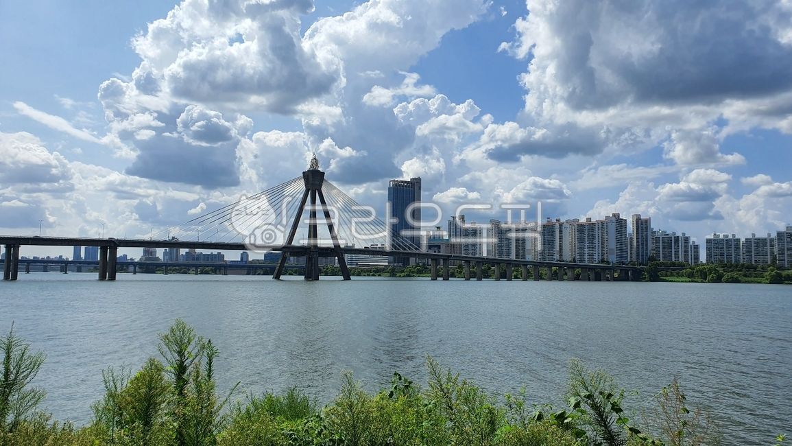 한강,한강다리,한강공원,강,서울