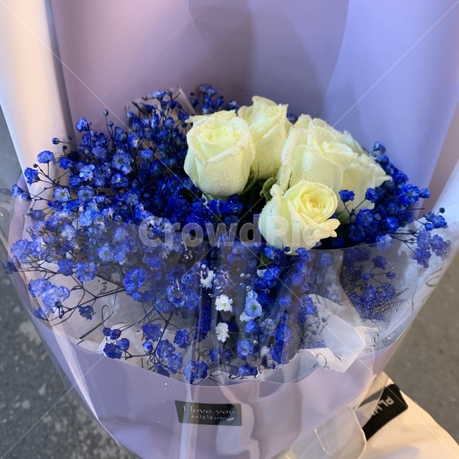 꽃,꽃다발,푸른장미,일상,고백,꽃,flower,기념일,축하,anniversary,congratulation,celebrate,celebration