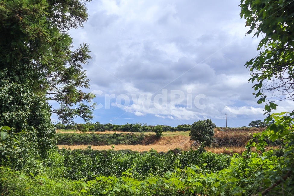nature,자연,outdoors,옥외,field