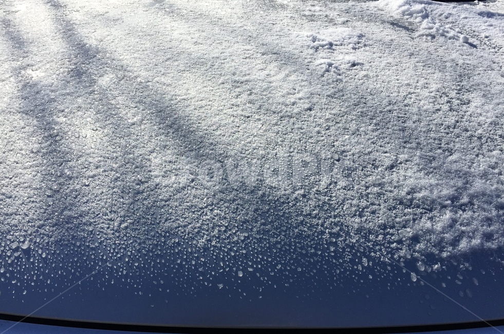 자연,nature,눈,ice,빙,겨울,계절,winter,season
