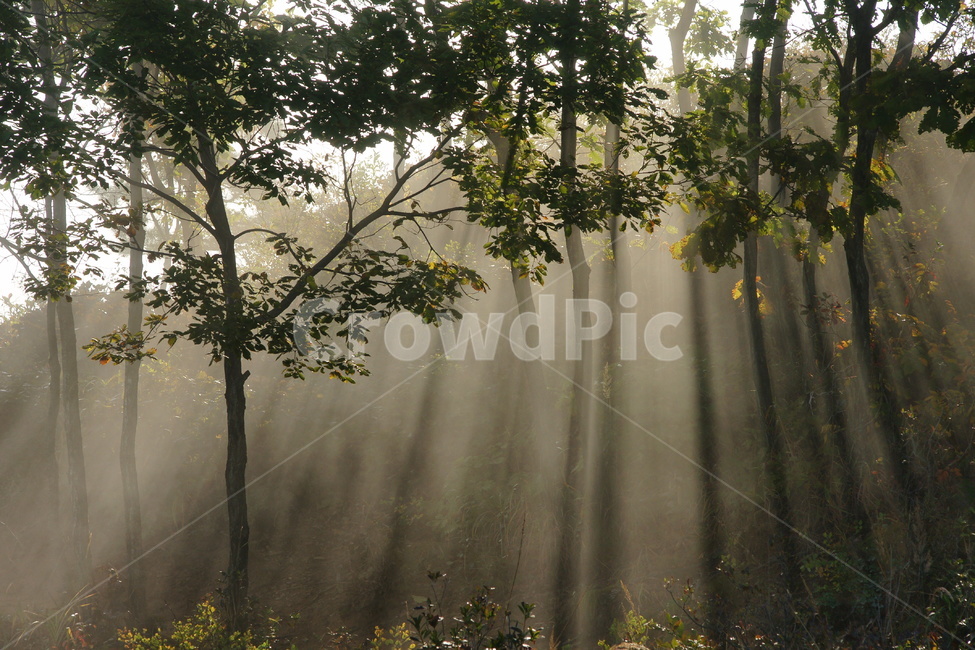 양성산,빛내림,풍경,산,트래킹,자연,풍경,nature,landscape,휴식,힐링,rest,relaxation,healing,sunlight,햇빛,outdoors,옥외,weather,날씨