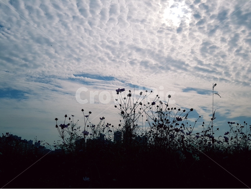 하늘,흰구름,풍경,맑음,해,자연,풍경,nature,landscape,실루엣,그림자,silhouette,shadow