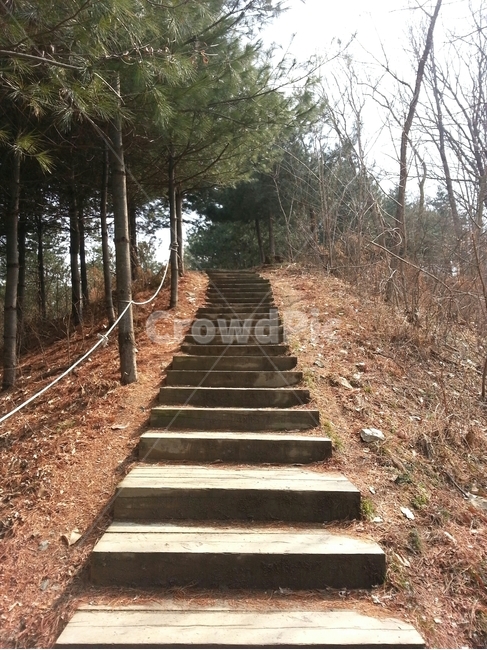 계단,산길,산,나무,반전,소나무,활엽수,겨울,삭막함,나무계단,등산,등산로,stairs,mountain,path,road,tree,pinetree,winter,season