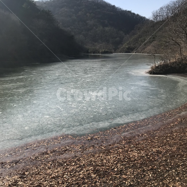 얼음,연못,낙엽,산,겨울