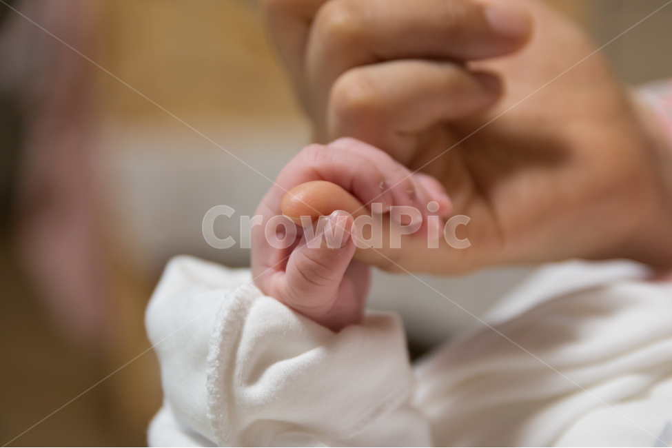 신생아,손,갓난아기,고사리손,손가락,새끼손가락,아기,신생아손,육아,작은,귀여운,앙증맞은,신체,사람,애기,생명,축복,출산,영유아,사람,인물,인간,human,person,신체일부,몸,body,가족,패밀리,family,영유아,아기,애기,아이,infants,baby